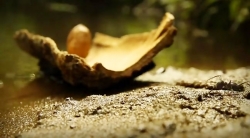 خیلی خیلی کوچک (2) (حمل و نقل آبی)